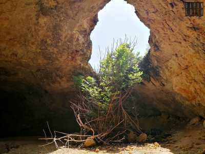 Ci arrampichiamo sugli scogli e arriviamo cos� sino al secondo �piano�, dove a dominare la scena si trova un inaspettato e altero albero di fico che si staglia verso l�alto fuoriuscendo da una grande apertura sul soffitto, da cui filtra la luce del sole
